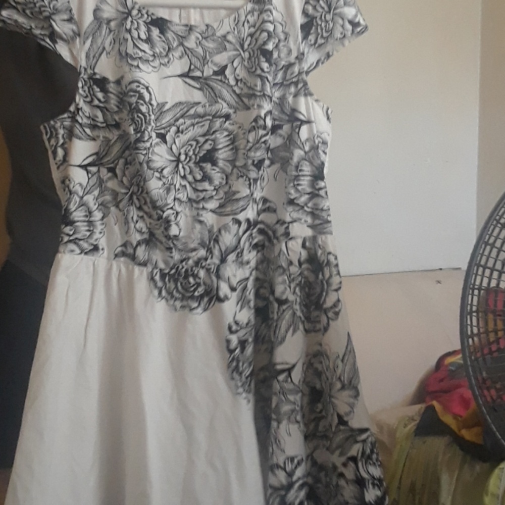 Drees - Picture 2 of 3